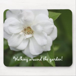 White Rose Mouse Pad