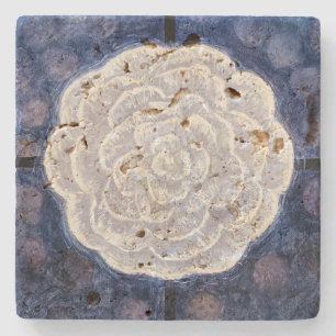 White Rose, No.35 Anna Cassel Stone Coaster