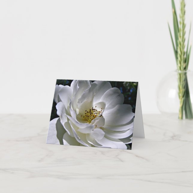 White Rose Note Card (Front)
