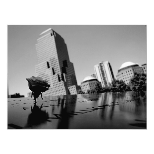 White rose of remembrance photo print (Front)