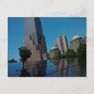 White rose of remembrance postcard