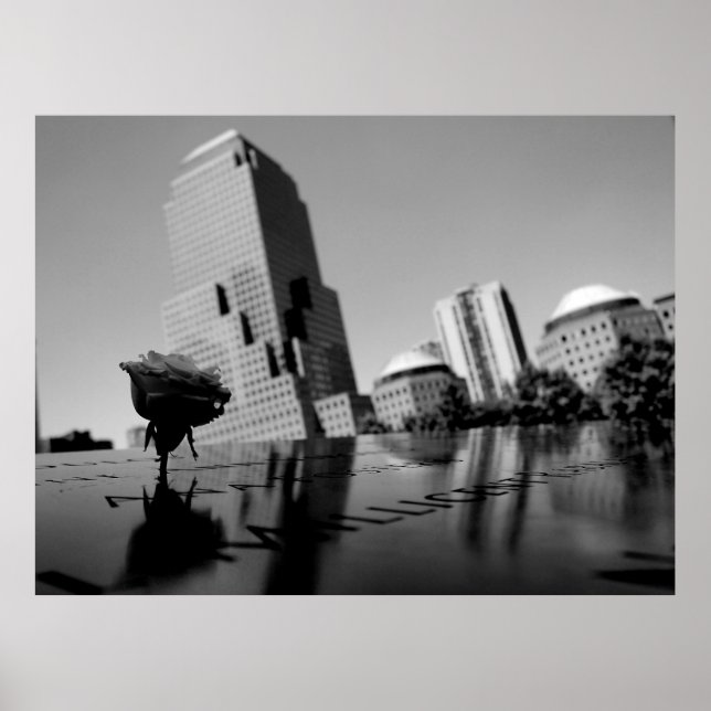 White rose of remembrance poster (Front)