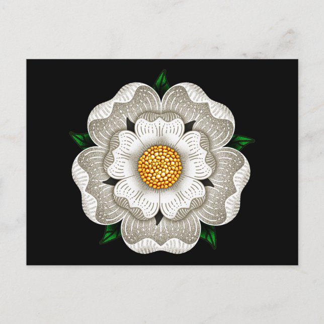 White Rose of York Postcard (Front)