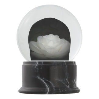 white rose on black snow globe