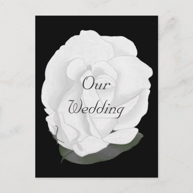 White rose on Black, Wedding Invitation Postcards (Front)