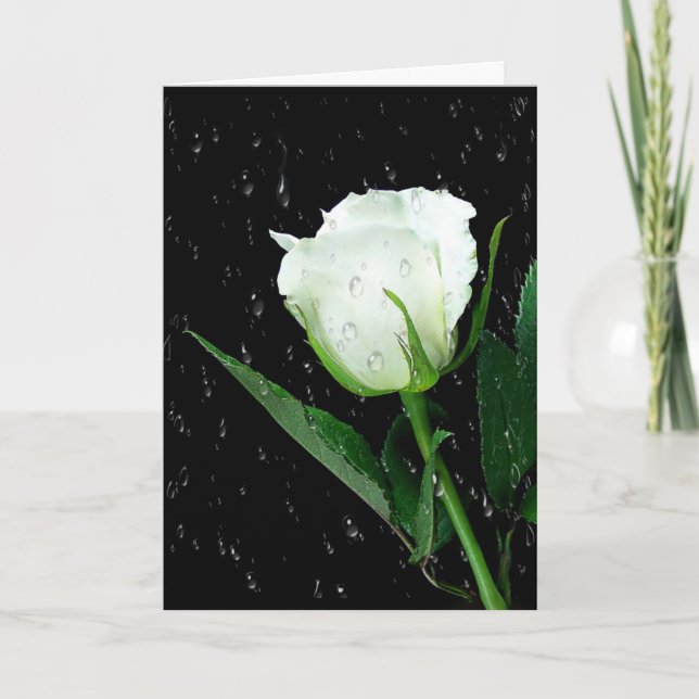 White Rose On Black with Raindrops Card (Front)