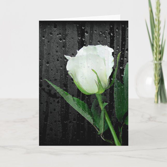 White Rose On Black with Raindrops Card (Front)