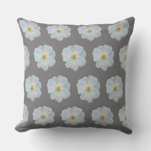 White rose on grey background. cushion
