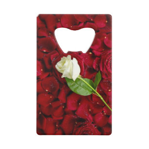 White Rose On Red Petals