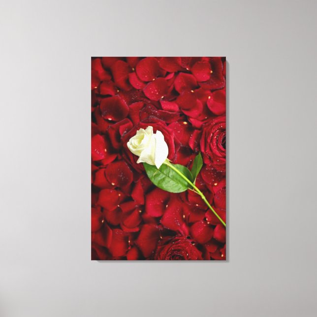 White Rose On Red Petals Canvas Print (Front)