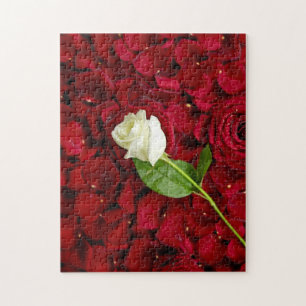 White Rose On Red Petals Jigsaw Puzzle