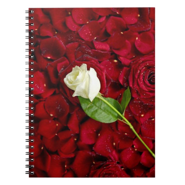 White Rose On Red Petals Spiral Notebook (Front)