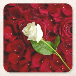 White Rose On Red Petals Square Paper Coaster