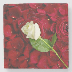 White Rose On Red Petals Stone Coaster