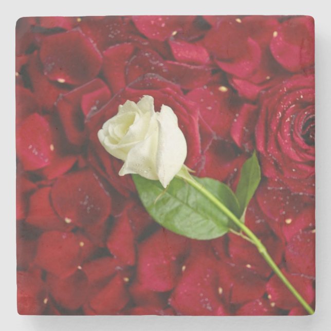 White Rose On Red Petals Stone Coaster (Front)