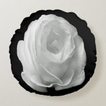 white-rose-on-the-black-background