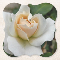 White Rose