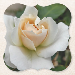 White Rose Paper Coaster