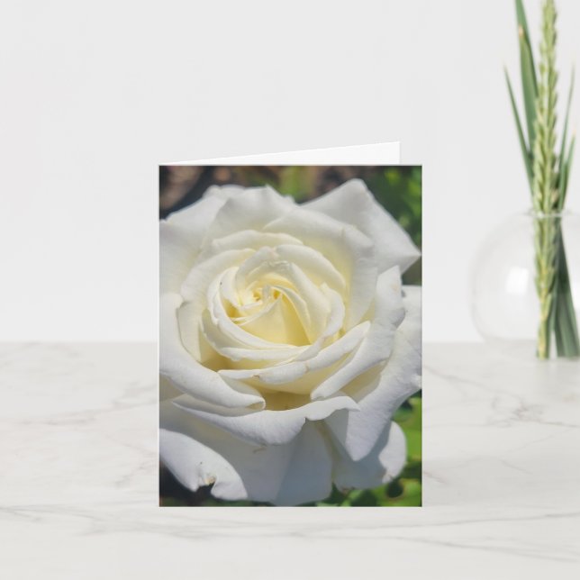 White Rose Personalised Greeting Card (Front)