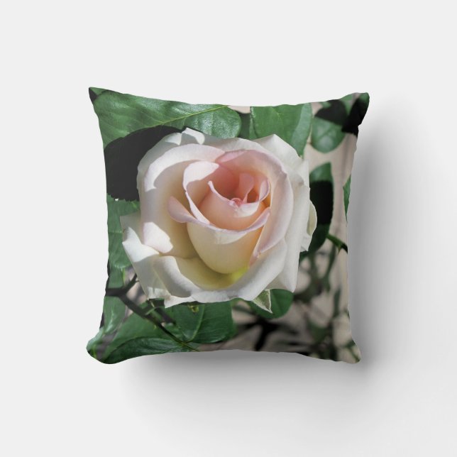 White Rose Pink Centre Pillow 16" x 16" (Front)