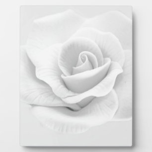 White Rose Plaque