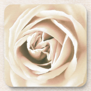 White rose print coaster
