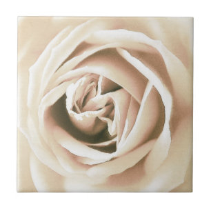 White rose print tile