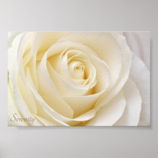 White Rose Serenity Poster