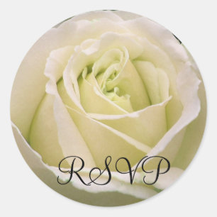 White Rose Sticker