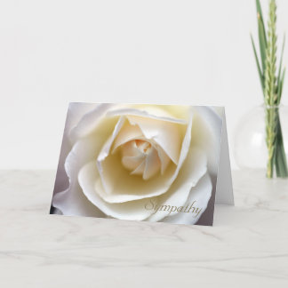White Rose Sympathy Card