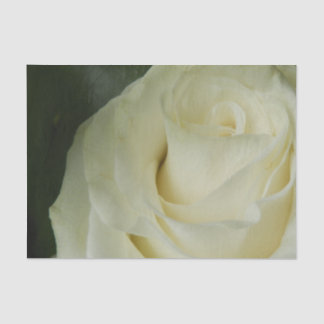 White Rose Tissue Paper
