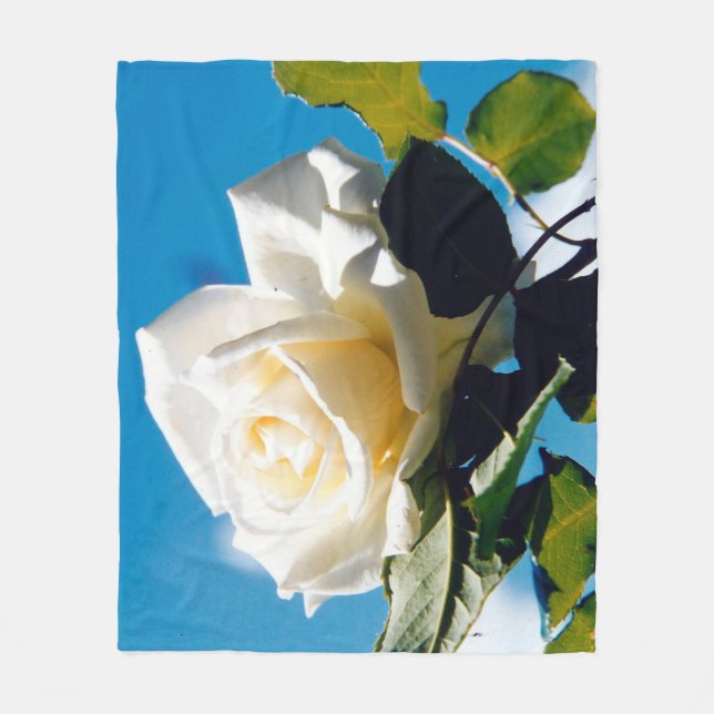 White rose under blue sky  fleece blanket (Front)