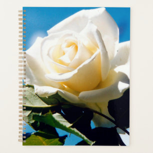 White rose under blue sky planner