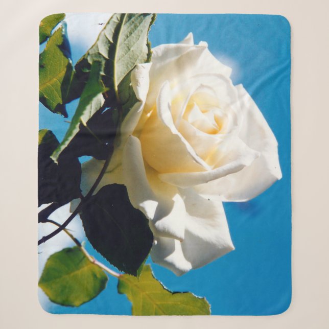 White rose under blue sky  sherpa blanket (Front)
