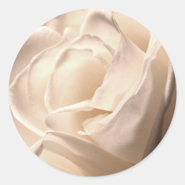 White Rose Wedding Envelope Seal Large (Front)