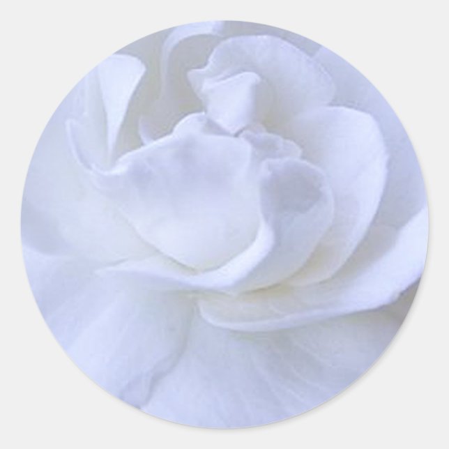 White Rose Wedding Sticker (Front)