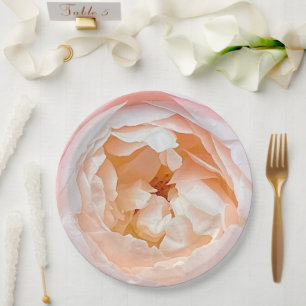 White rose with pink blush paper plate