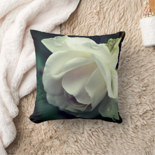White Rose With Raindrops Floral Cushion