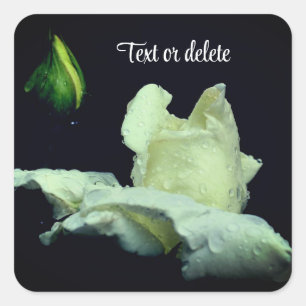 White Rosebud After Rain Personalized Square Sticker