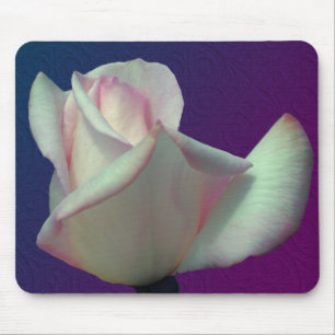 White Rosebud Flower Mouse Pad