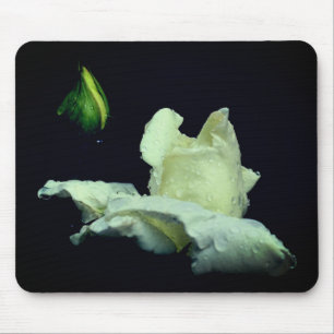 White Rosebud Flower Photography Mouse Pad