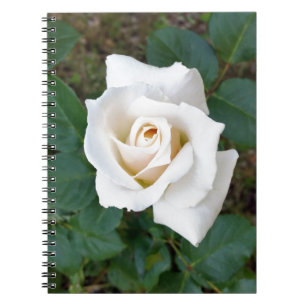 white rosebud spiral notebook