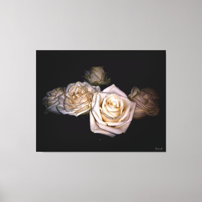 White Roses Against Dark Background Canvas Print (Front)