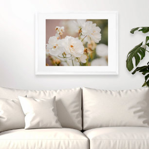 White Roses Floral Botanical Nature Photograph Poster