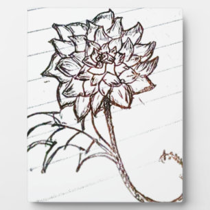 white roses flower plaque