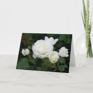 White Roses Greeting Card