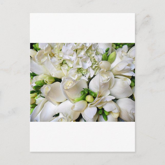 White Roses,Happy_ Postcard (Front)