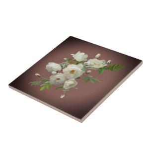 White roses on dark red tile