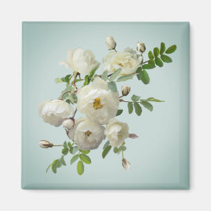 White roses on dreamy green   magnet