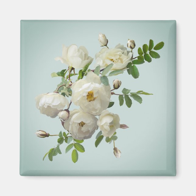 White roses on dreamy green   magnet (Front)